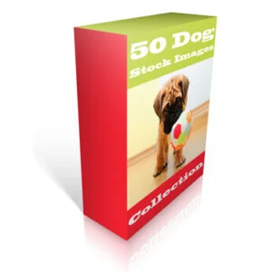 coleção de 50 imagens de cachorro