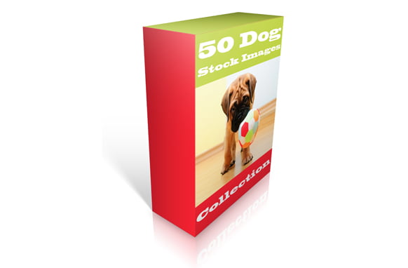 coleção de 50 imagens de cachorro