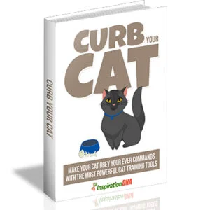 ebook limite seu gato