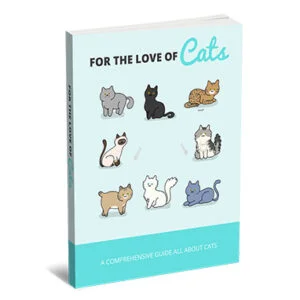 ebook pelo amor dos gatos