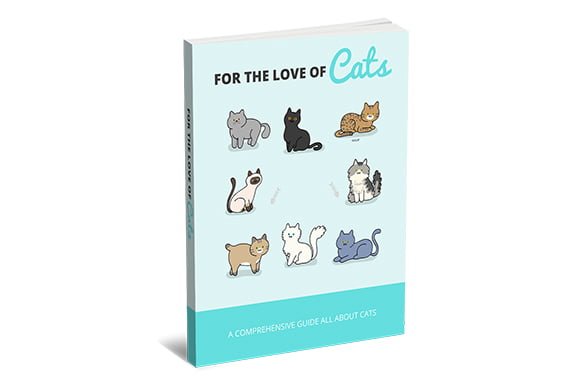 ebook pelo amor dos gatos