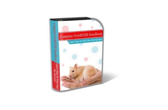 modelo psd do hamster de treinamento html